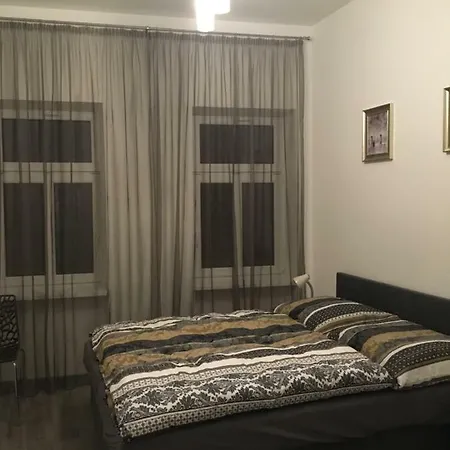 Luxury 아파트 카를로비바리